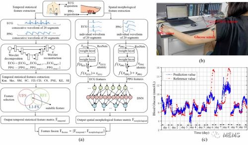 深圳先進(jìn)院在基于生理信息的無創(chuàng)血糖監(jiān)測(cè)技術(shù)方面取得新進(jìn)展
